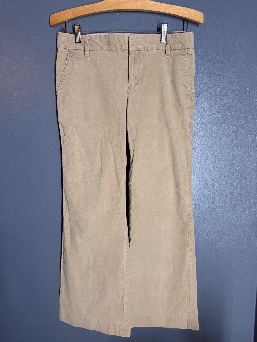 Gap Pants Womens 6A Brown Stretch Outdoors Comfort Casual Ladies